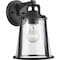 Progress Lighting Benton Harbor Collection One-Light Medium Wall Lantern with DURASHIELD P560178-031 - alternate 1